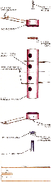 Build a Birdhouse for Purple Martins Image
